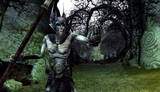 New Screens for Lord of the Rings Online: Siege of Mirkwood, Digital Expansion - (800x460, 155kB)